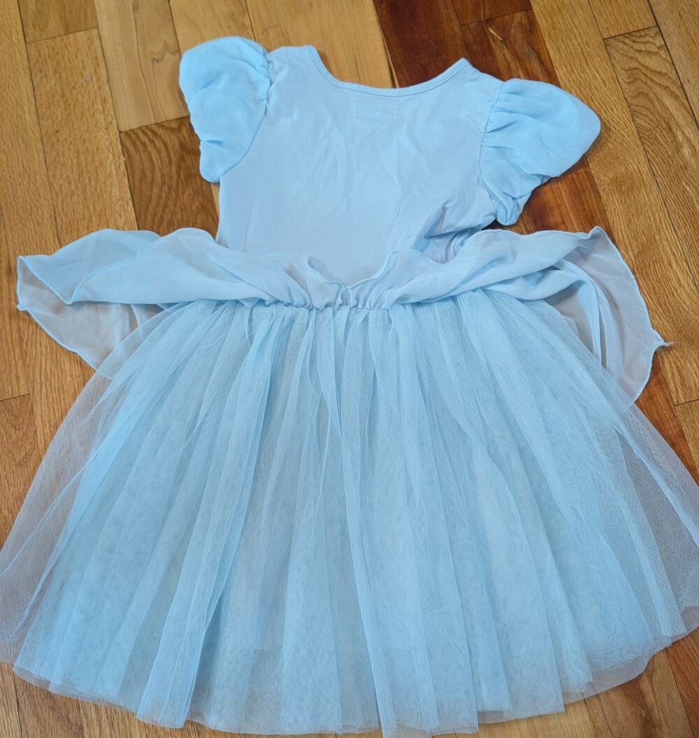 Cinderella Taylor Joelle Tutu - Size 6